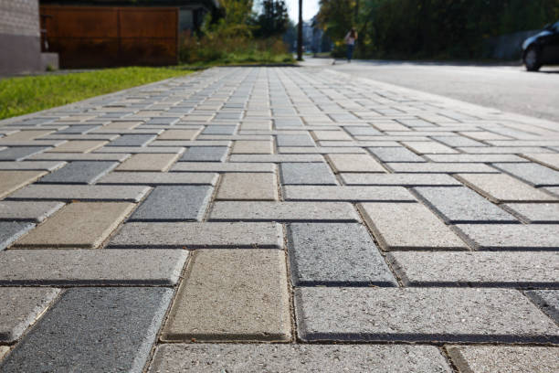 Best Custom Driveway Pavers  in Newton, TX